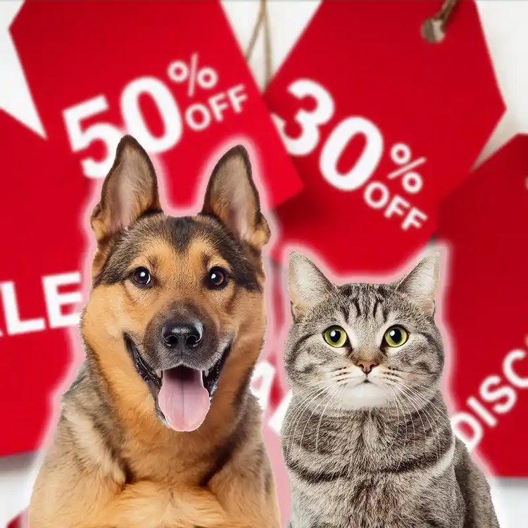 Reduceri și promoții la hrană pentru câini și pisici - Zoohrana