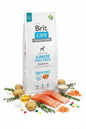 Hrana uscata pentru caini Brit Care Dog Junior Large Breed Salmon 12kg
