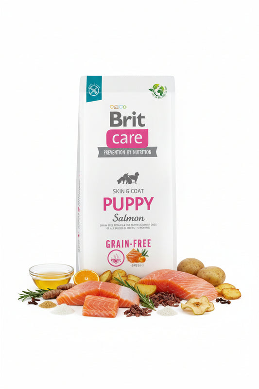 Hrana uscata pentru caini Brit Care Dog Puppy Salmon 3kg