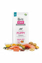 Hrana uscata pentru caini Brit Care Dog Puppy Salmon 3kg