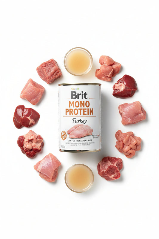 Hrana umeda pentru caini Brit Mono Protein Turkey 400g