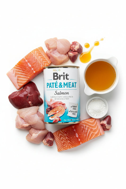Hrana umeda pentru caini Brit Pate & Meat cu somon 400g