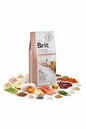 Hrana uscata pentru caini Brit Veterinary Diet Renal 12kg