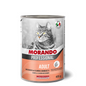 Hrana umeda pentru pisici Morando Chunks cu somon si creveti 405g